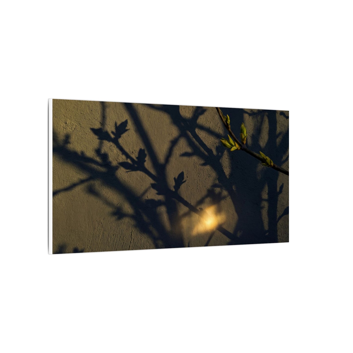 Bold Shadow Play Canvas Art - Moody Minimal Dark Japandi