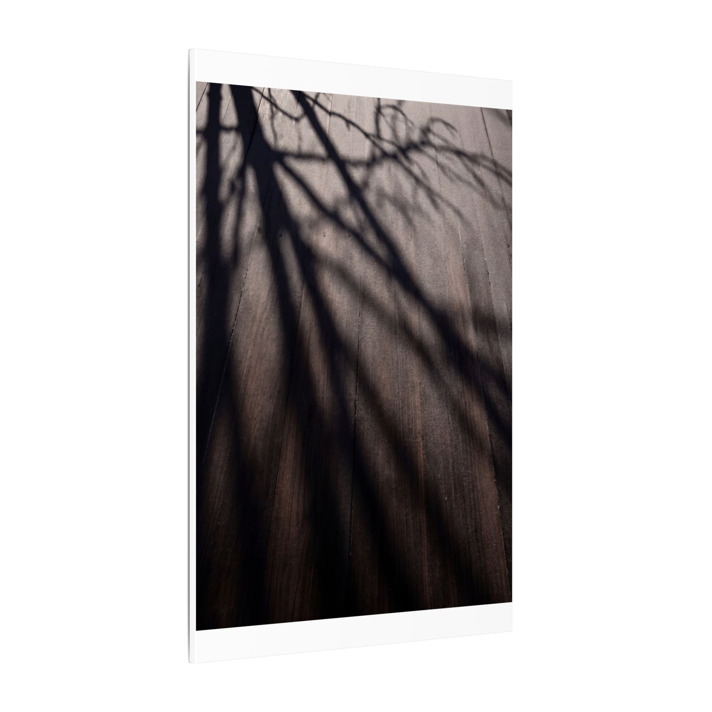 Dark Japandi Shadow Play in Dawn | Moody Minimal Canvas Art