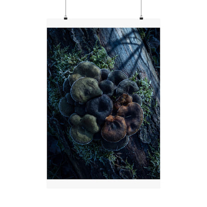 Moonlight Wild Mushrooms Wall Art Print - Dark Japandi Shibui Art Print