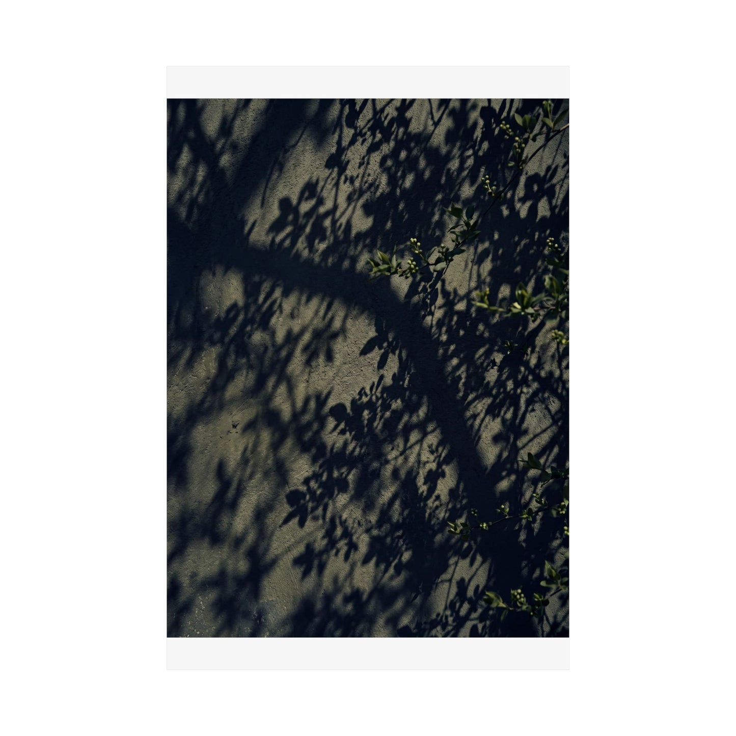 Shadow Play Moody Minimal Wall Art Print | Atmospheric Dark Japandi Art
