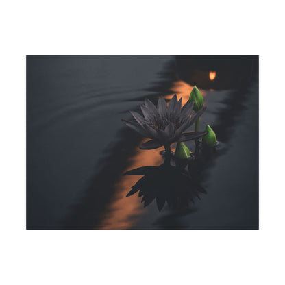 Seijaku Lotus Flower Canvas Art - Dark Japandi Shadow Zen