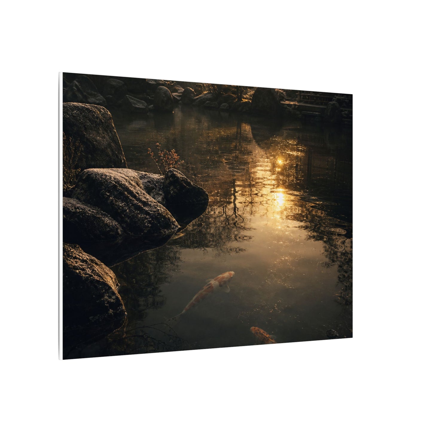 Winter Koi Pond Shadow Zen Canvas Art | Bold Decor