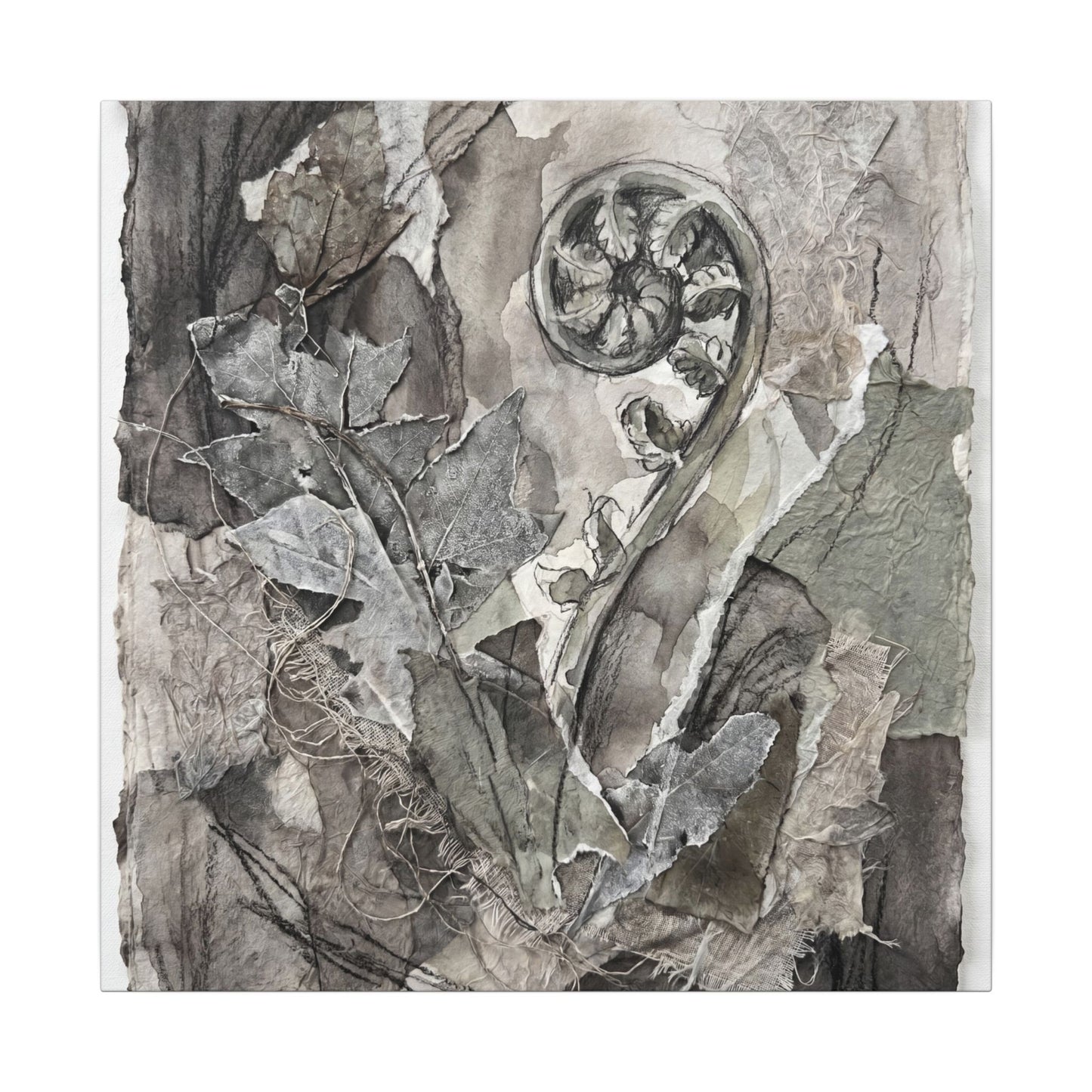 Japandi Fern Unfurling in Overcast | Texture Canvas Art