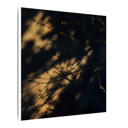 Moody Shadow Play Canvas Art - Moody Minimal Dark Japandi
