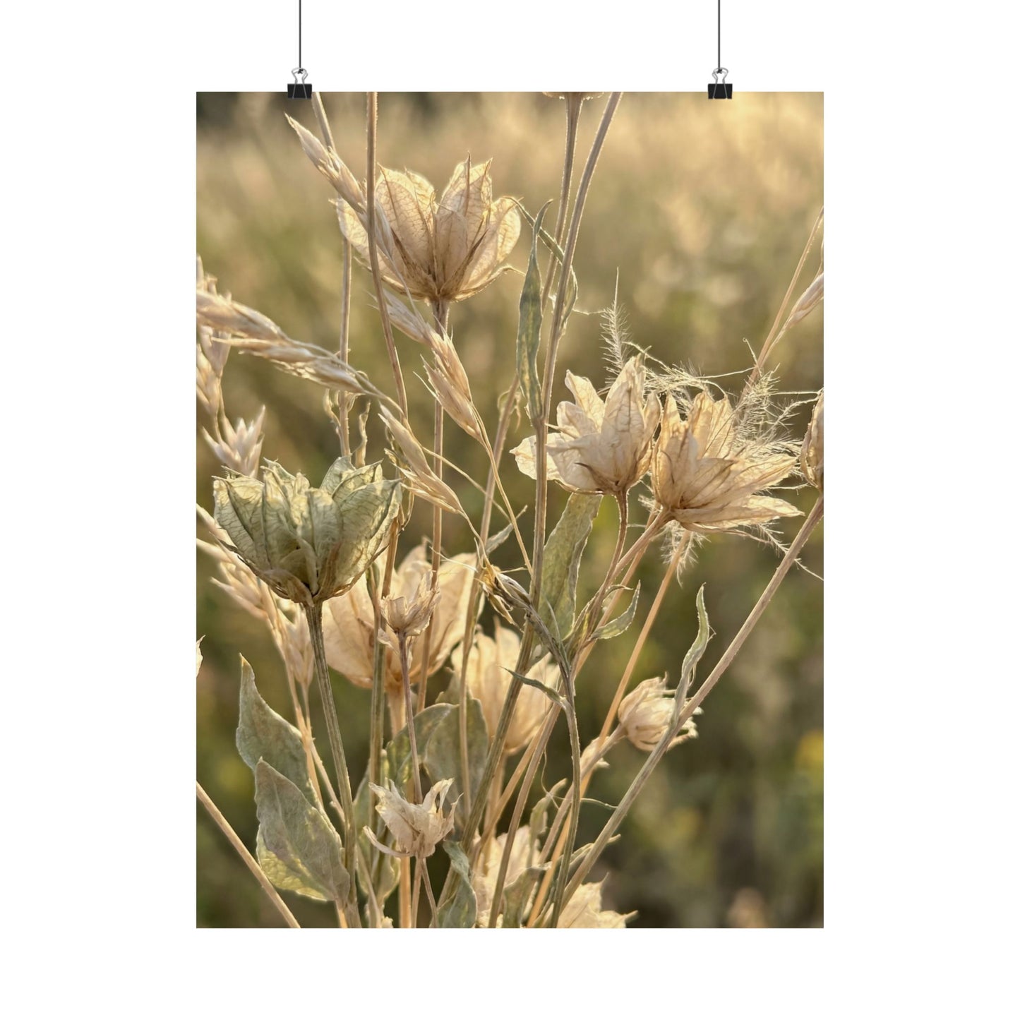 Cozy Dried Flowers Wall Art Print - Minimal Line Japandi Art Print