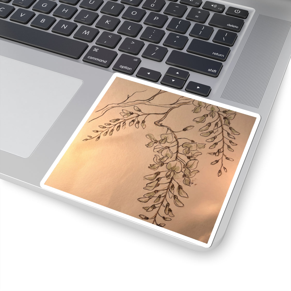 Spring Wisteria Minimal Line Sticker | Elegant Decor Art Print