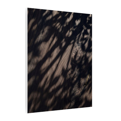 Shadow Play Summer Canvas Art | Dark Japandi Moody Design