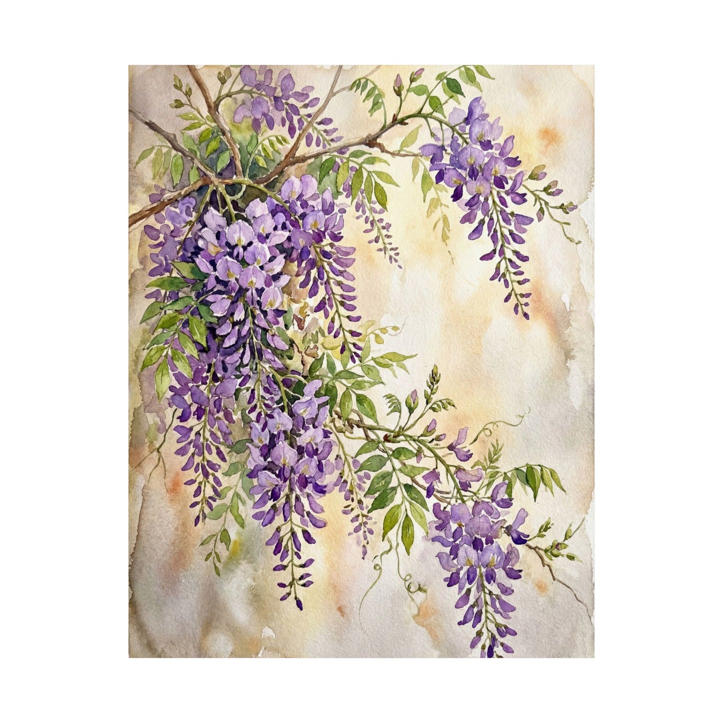 Spring Wisteria Watercolor Wall Art Print | Cozy Decor