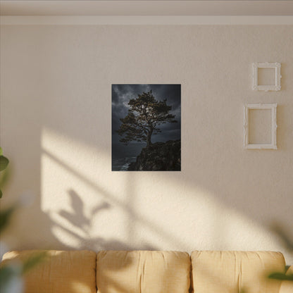 Dappled Pine Tree Canvas Art - Dark Japandi Fukinsei