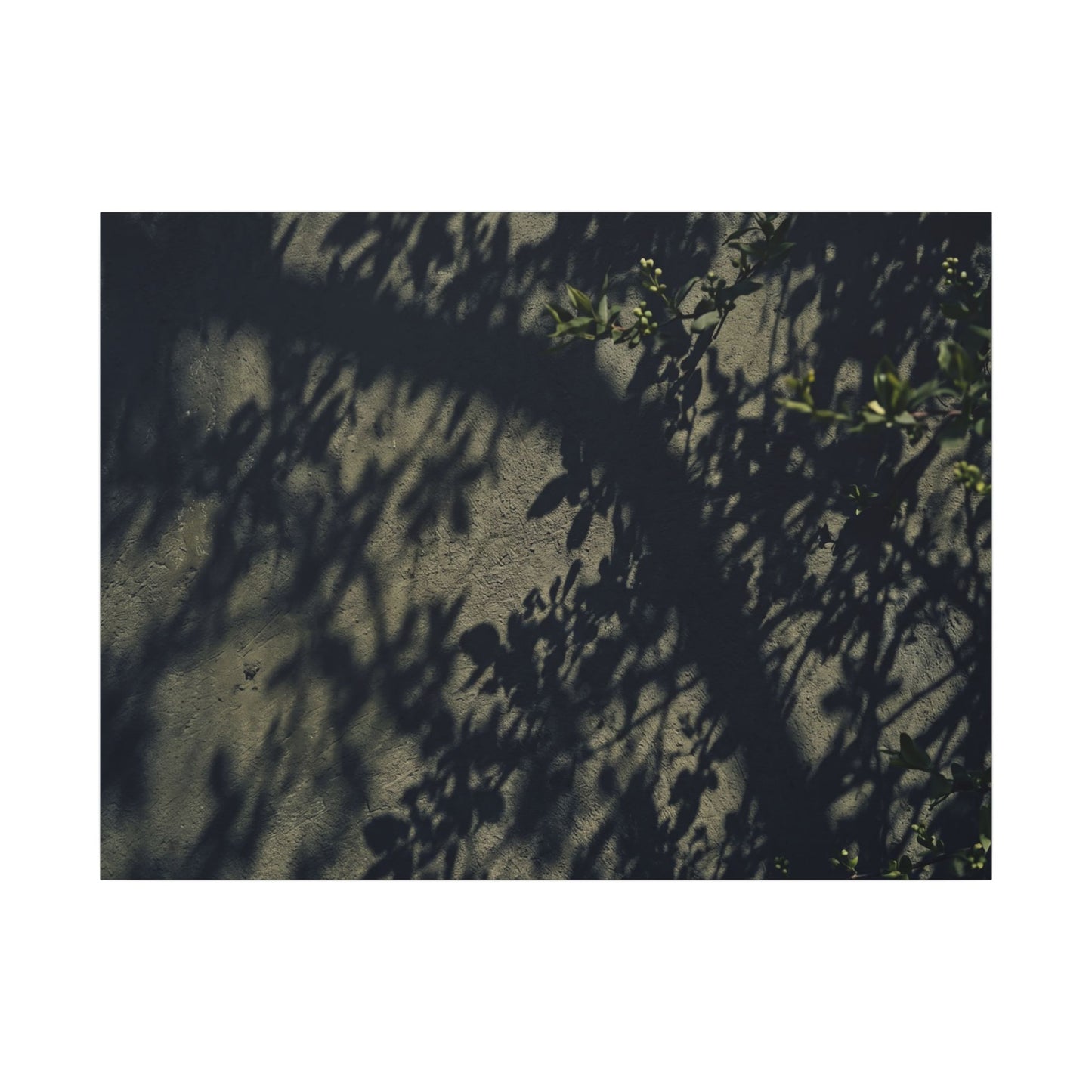 Atmospheric Shadow Play Canvas Art - Moody Minimal Dark Japandi