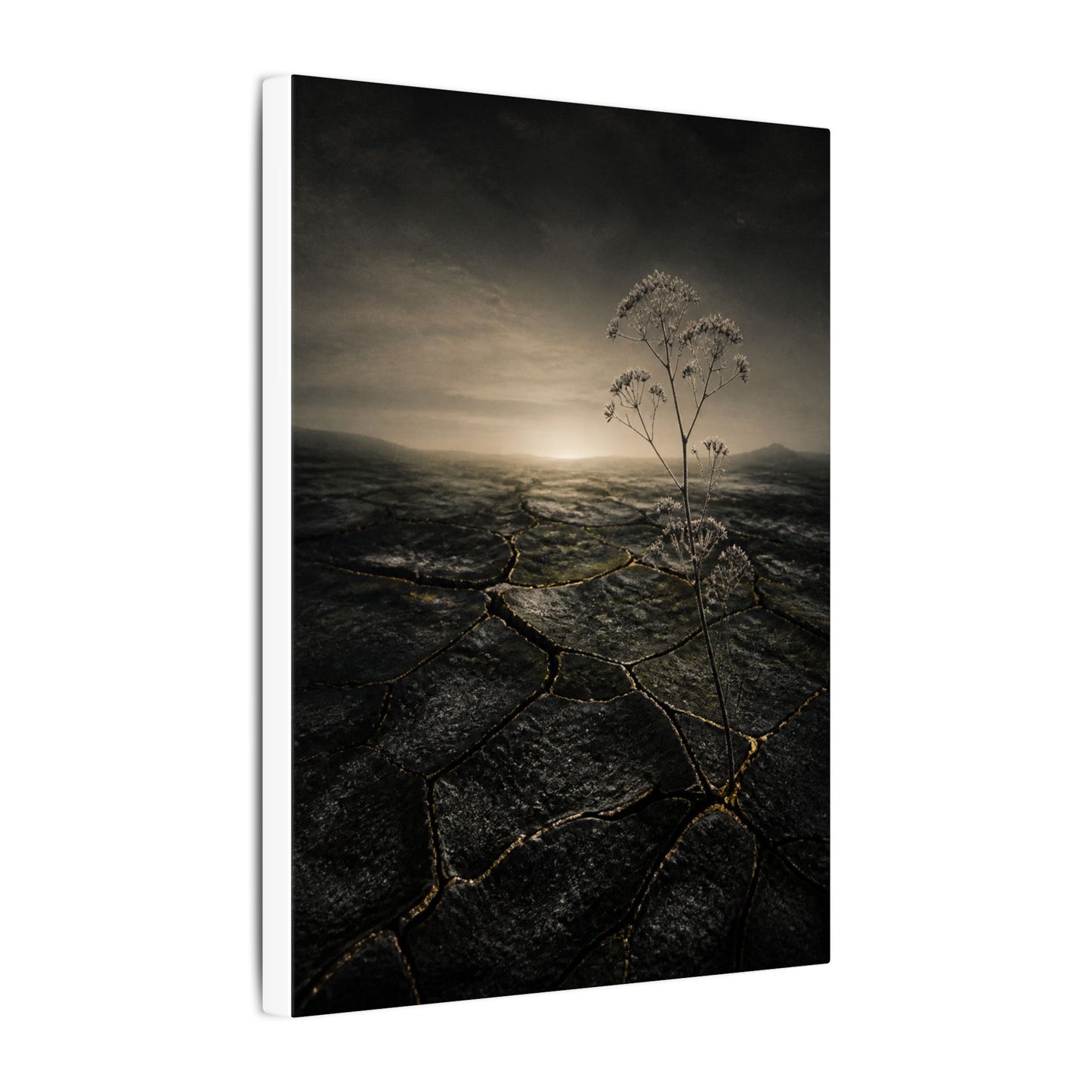 Dawn Cracked Earth Canvas Art - Dark Japandi Mono No Aware