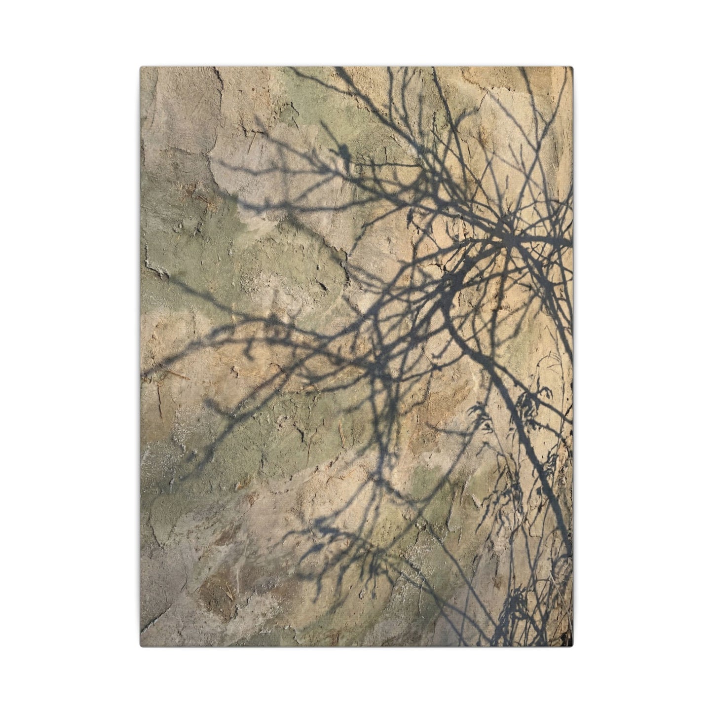Japandi Shadow Play in Golden Hour | Texture Canvas Art