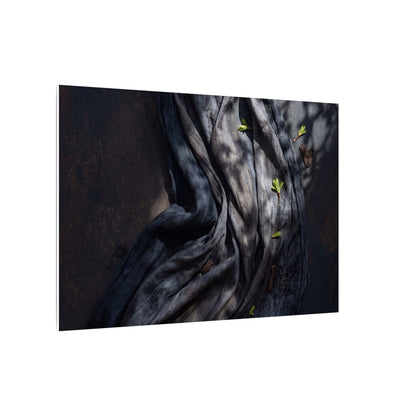 Seijaku Silk Drape Canvas Art - Dark Japandi Dark Texture