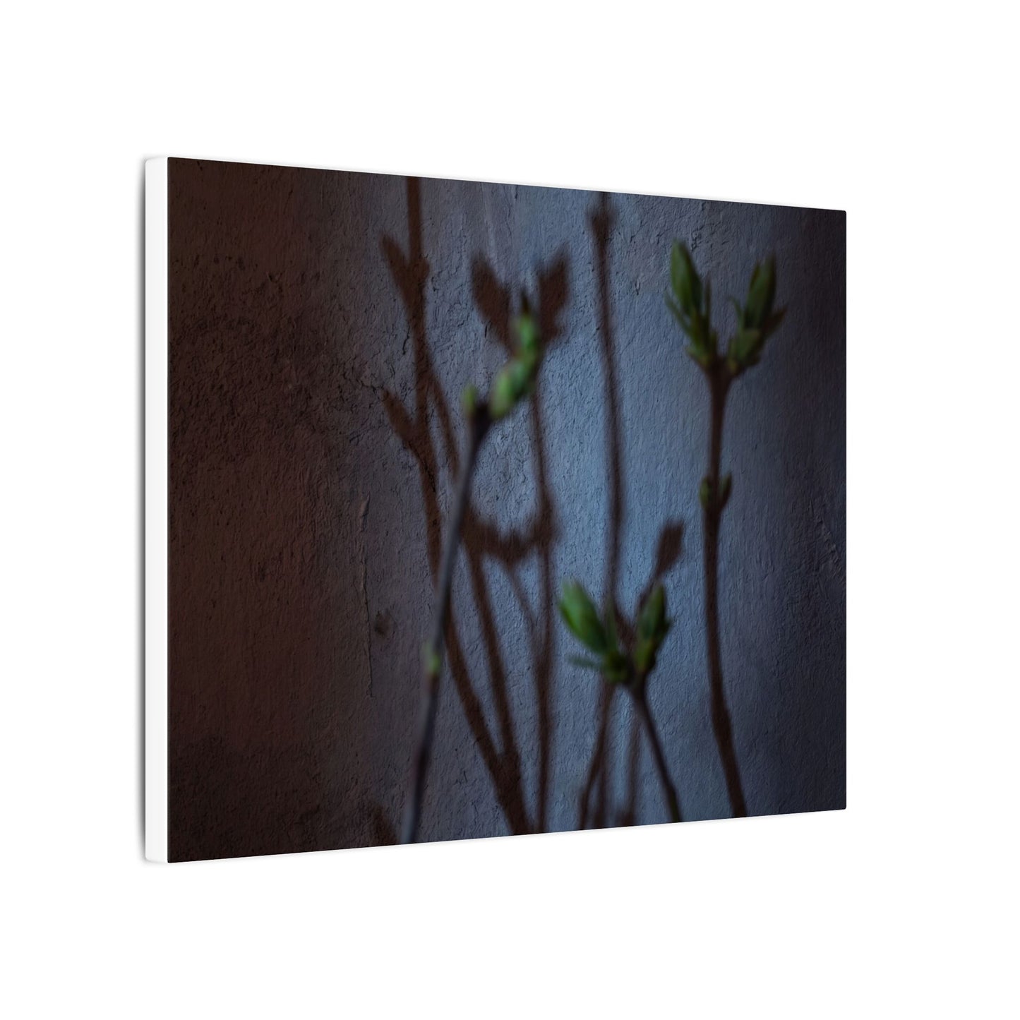 Shadow Play Spring Canvas Art | Dark Japandi Sophisticated Design