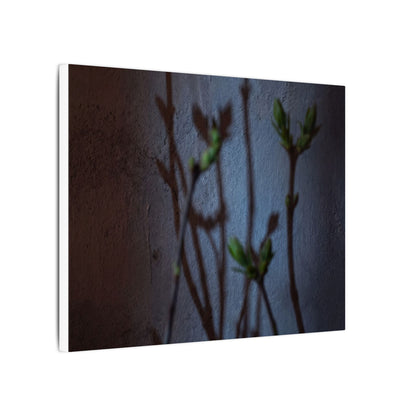 Shadow Play Spring Canvas Art | Dark Japandi Sophisticated Design