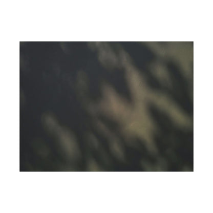 Dappled Shadow Play Canvas Art - Dark Japandi Ma Art Print
