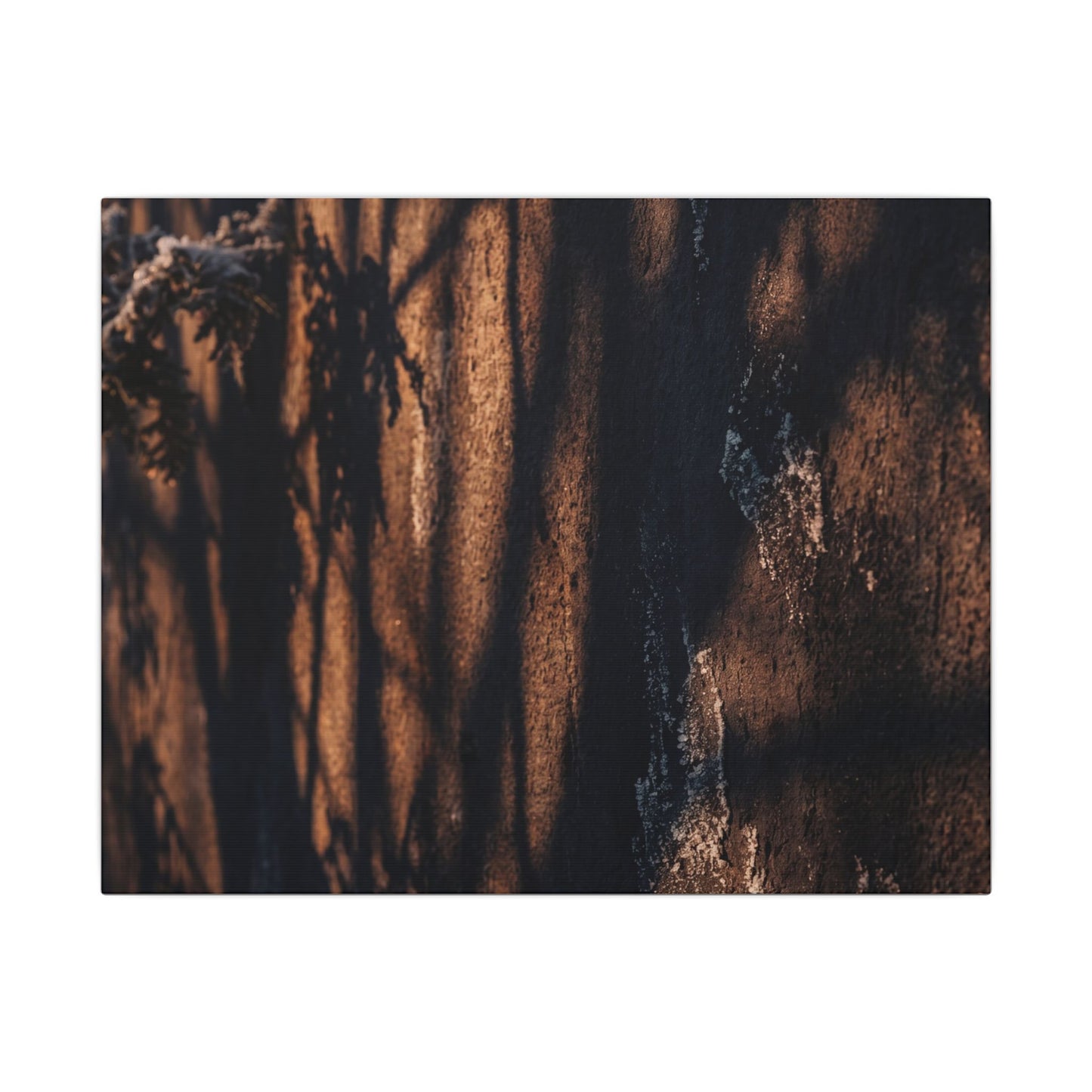 Golden Hour Shadow Play Canvas Art - Dark Japandi Fukinsei Art Print