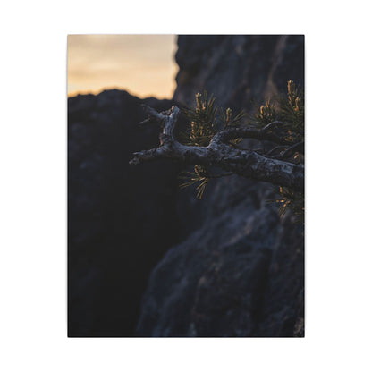 Pine Tree Moody Minimal Canvas Art | Sophisticated Dark Japandi Art