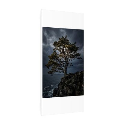 Dappled Pine Tree Canvas Art - Dark Japandi Fukinsei