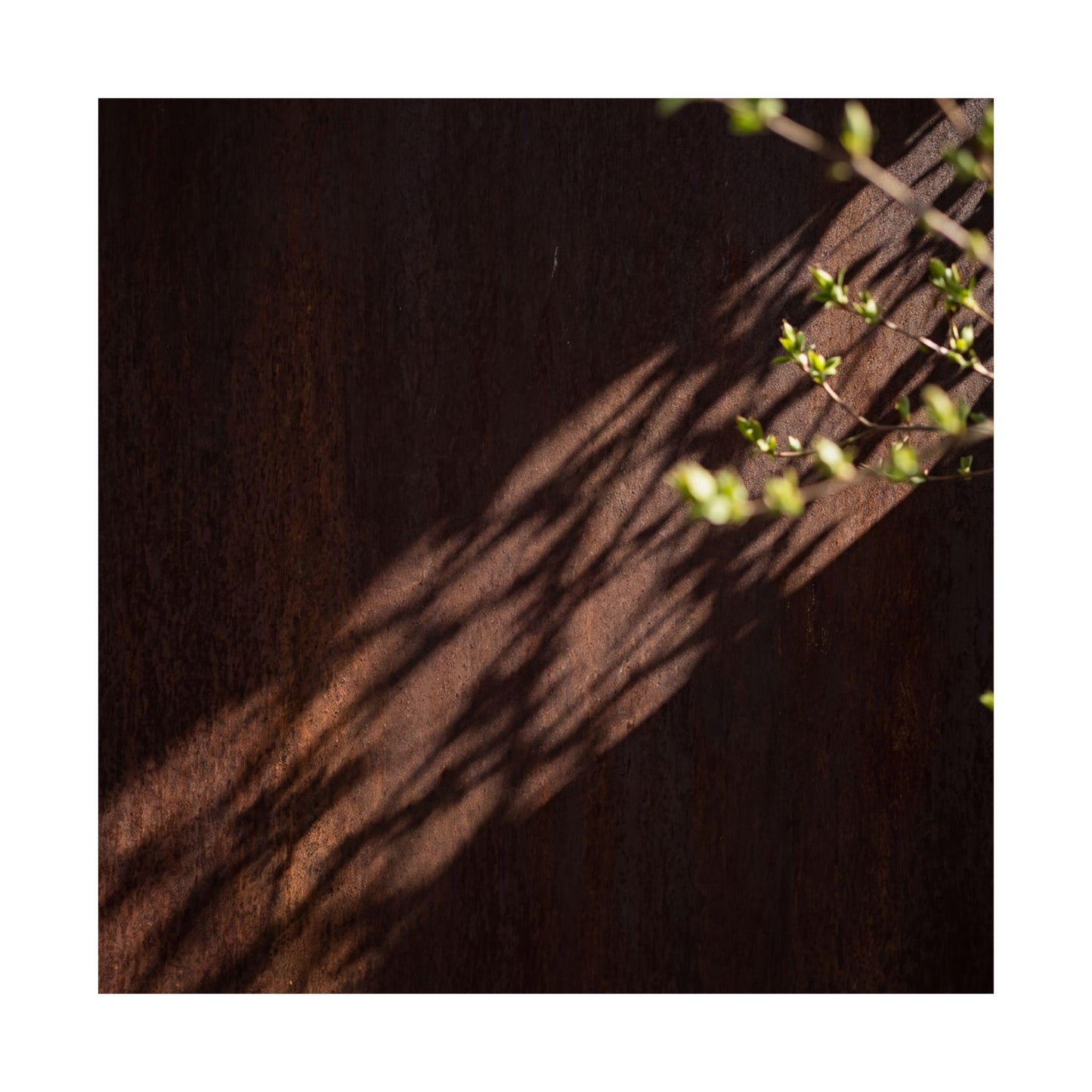 Rust Patina Spring Wall Art Print | Dark Japandi Atmospheric Design
