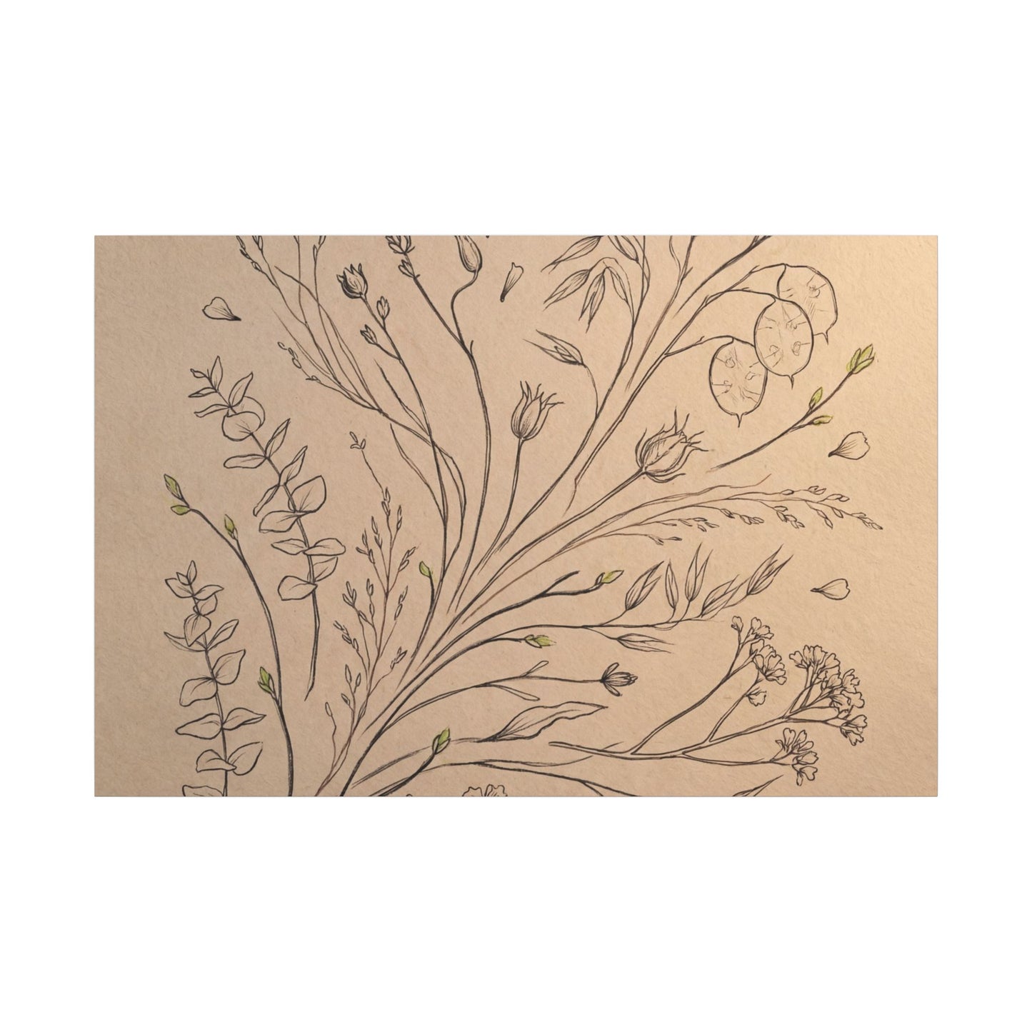 Dried Flowers Canvas Art | Spring Japandi Minimal Line Art