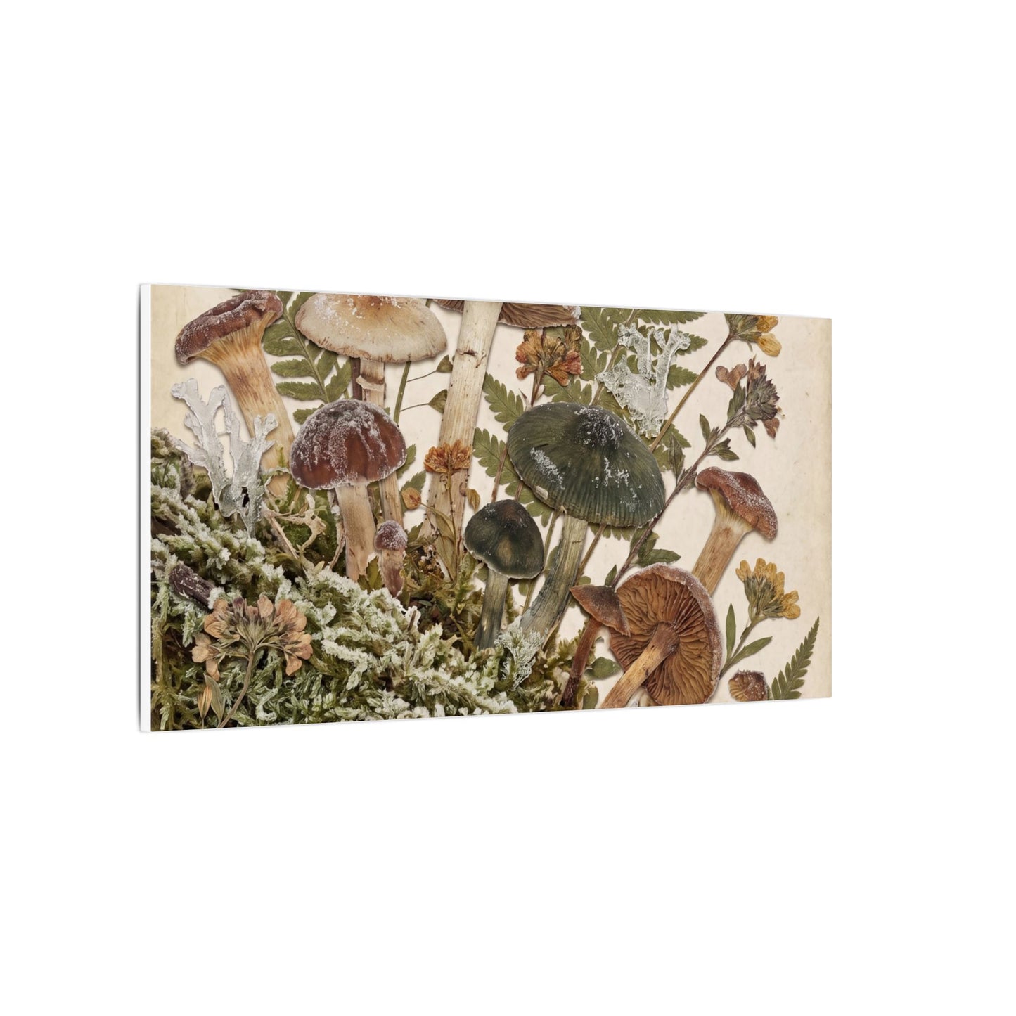 Winter Wild Mushrooms Herbarium Canvas Art | Enchanting Decor