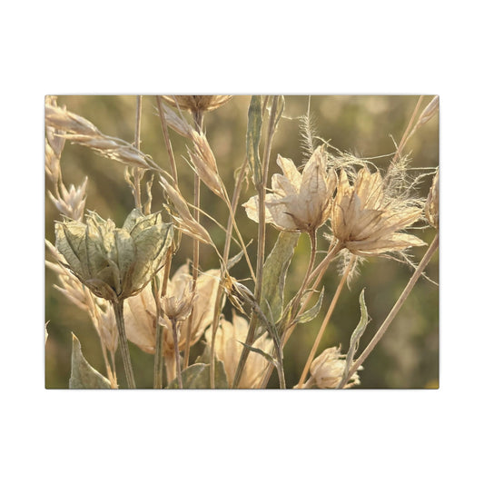 Summer Dried Flowers Minimal Line Canvas Art | Cozy Decor Art Print