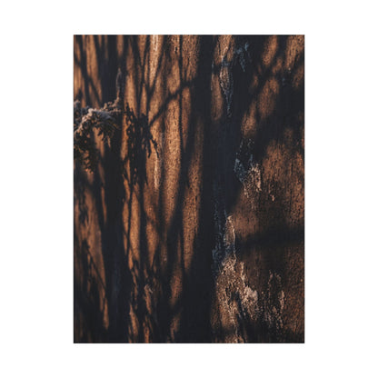 Golden Hour Shadow Play Canvas Art - Dark Japandi Fukinsei