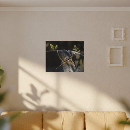 Seijaku Broken Pottery Canvas Art - Dark Japandi Shadow Zen