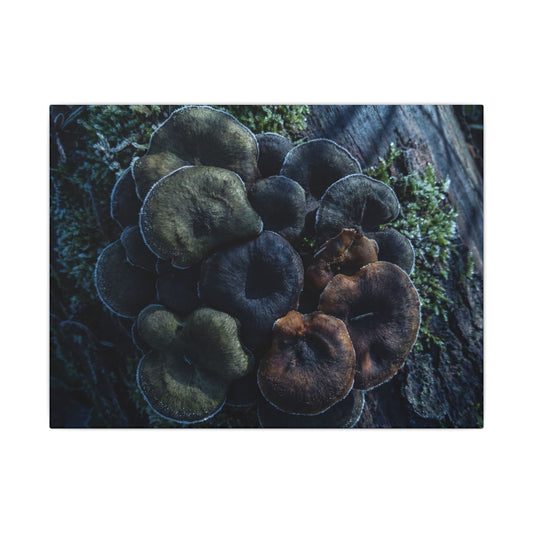 Wild Mushrooms Moody Minimal Canvas Art | Moody Dark Japandi Art Art Print