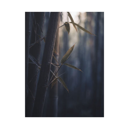 Dark Japandi Bamboo Grove in Dawn | Moody Minimal Canvas Art