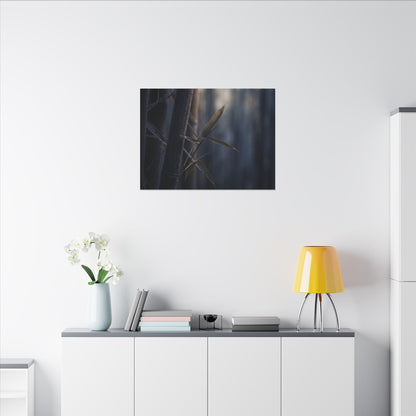 Dark Japandi Bamboo Grove in Dawn | Moody Minimal Canvas Art