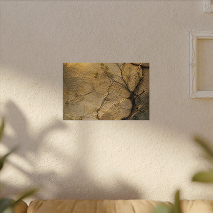 Cracked Earth Spring Canvas Art | Japandi Warm Design