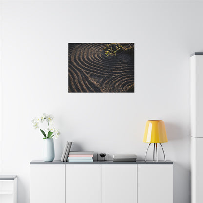 Spring Rock Garden Shadow Zen Canvas Art | Atmospheric Decor