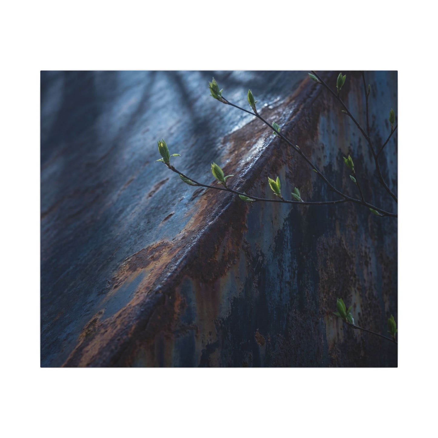 Rust Patina Canvas Art | Spring Dark Japandi Shadow Zen Art