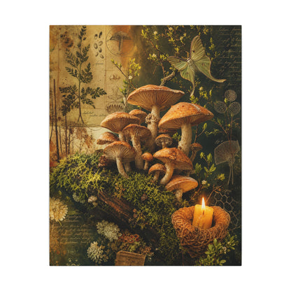 Spring Wild Mushrooms Herbarium Canvas Art | Earthy Decor