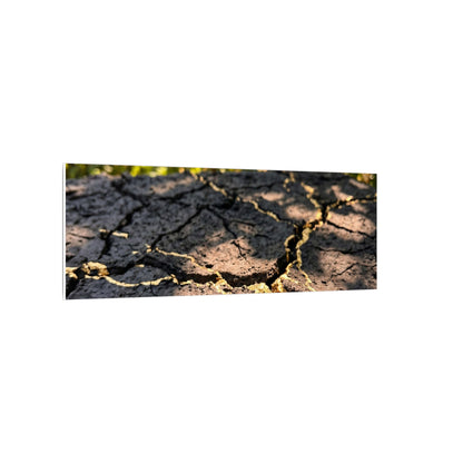 Shibui Cracked Earth Canvas Art - Kintsugi Gold Repair