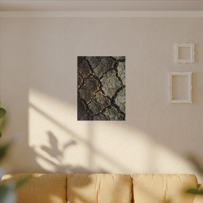 Earthy Cracked Earth Canvas Art - Japanese Pattern Japandi