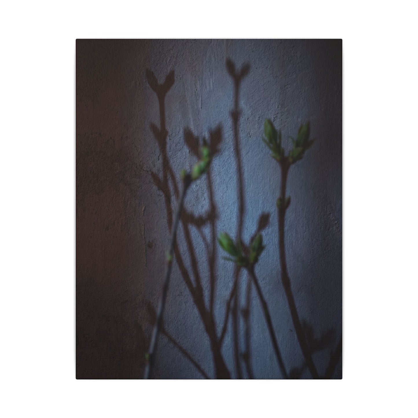 Shadow Play Spring Canvas Art | Dark Japandi Sophisticated Design