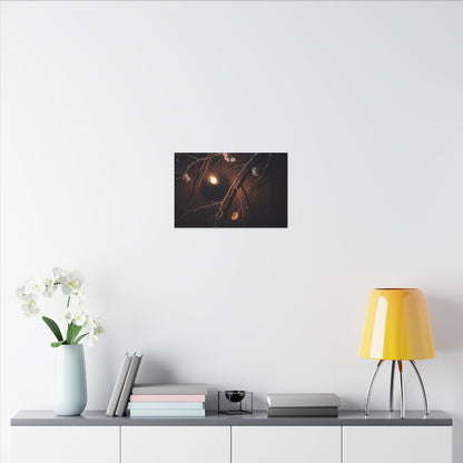 Datsuzoku Cherry Blossom Canvas Art - Dark Japandi Moody Minimal