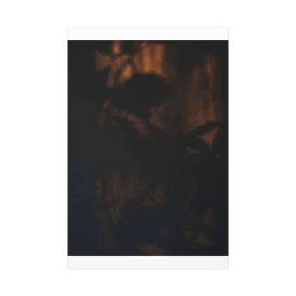 Shadow Play Summer Canvas Art | Dark Japandi Sophisticated Design