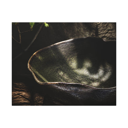 Sophisticated Ceramic Bowl Canvas Art - Dark Texture Dark Japandi