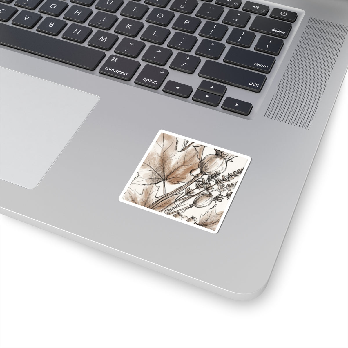 Autumn Dried Flowers Minimal Line Sticker | Elegant Decor