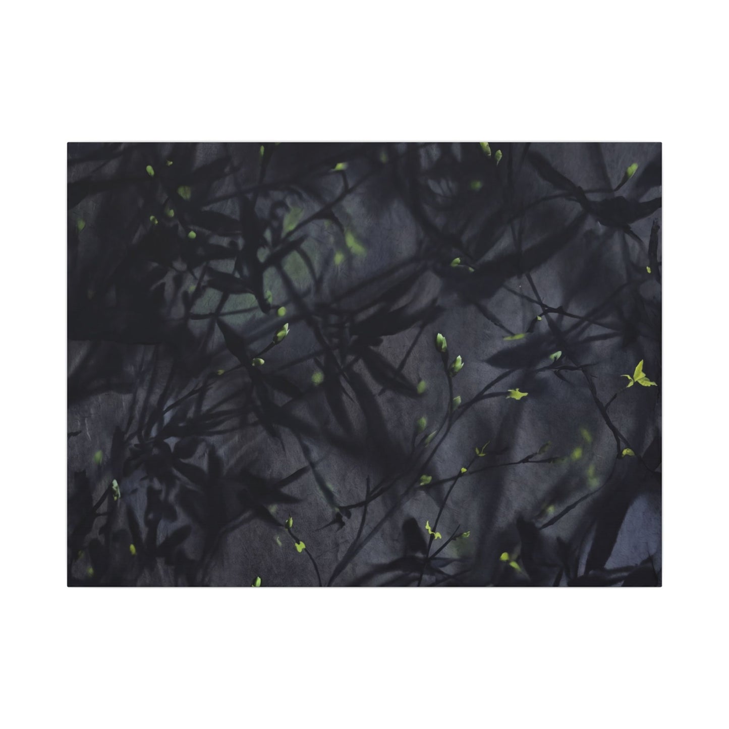 Shadow Play Spring Canvas Art | Dark Japandi Atmospheric Design