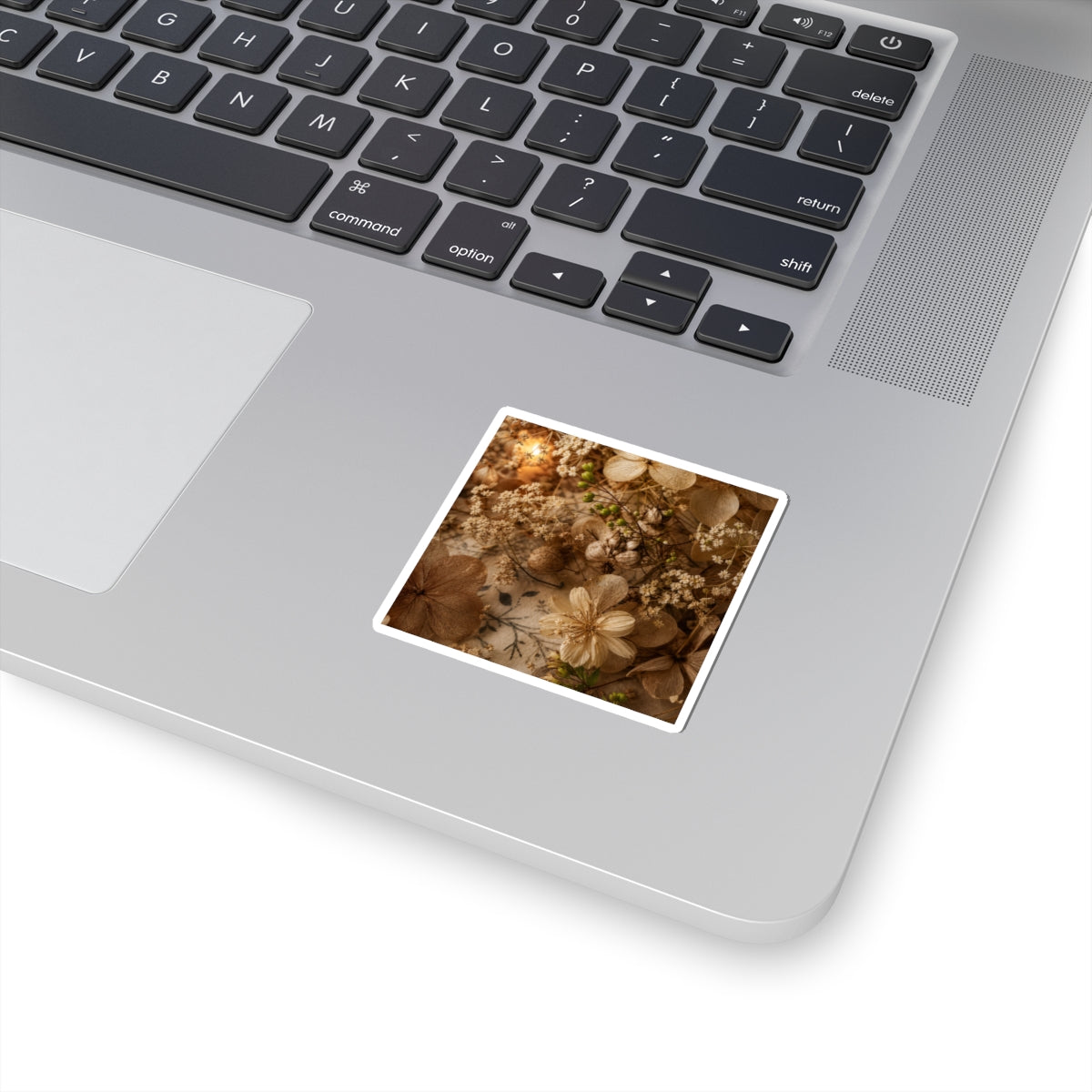 Dried Flowers Spring Sticker | Japandi Earthy Design