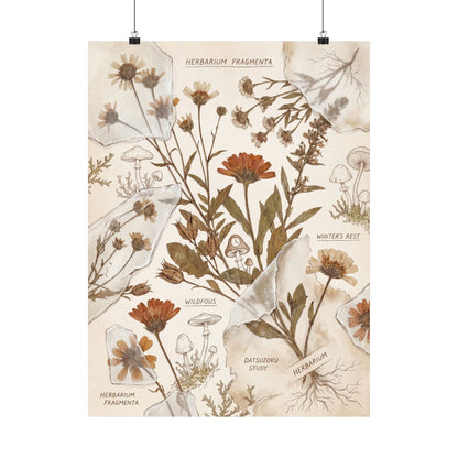 Winter Dried Flowers Herbarium Wall Art Print | Rustic Decor Art Print