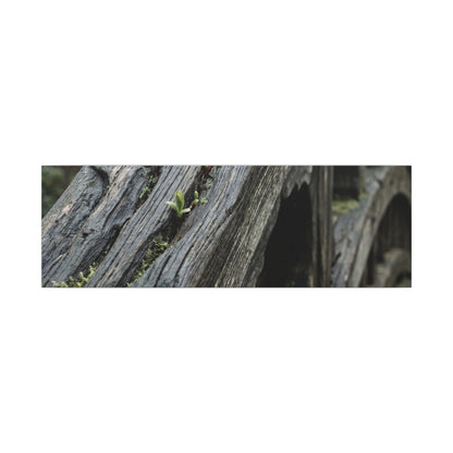 Overcast Wooden Bridge Canvas Art - Japandi Kanso