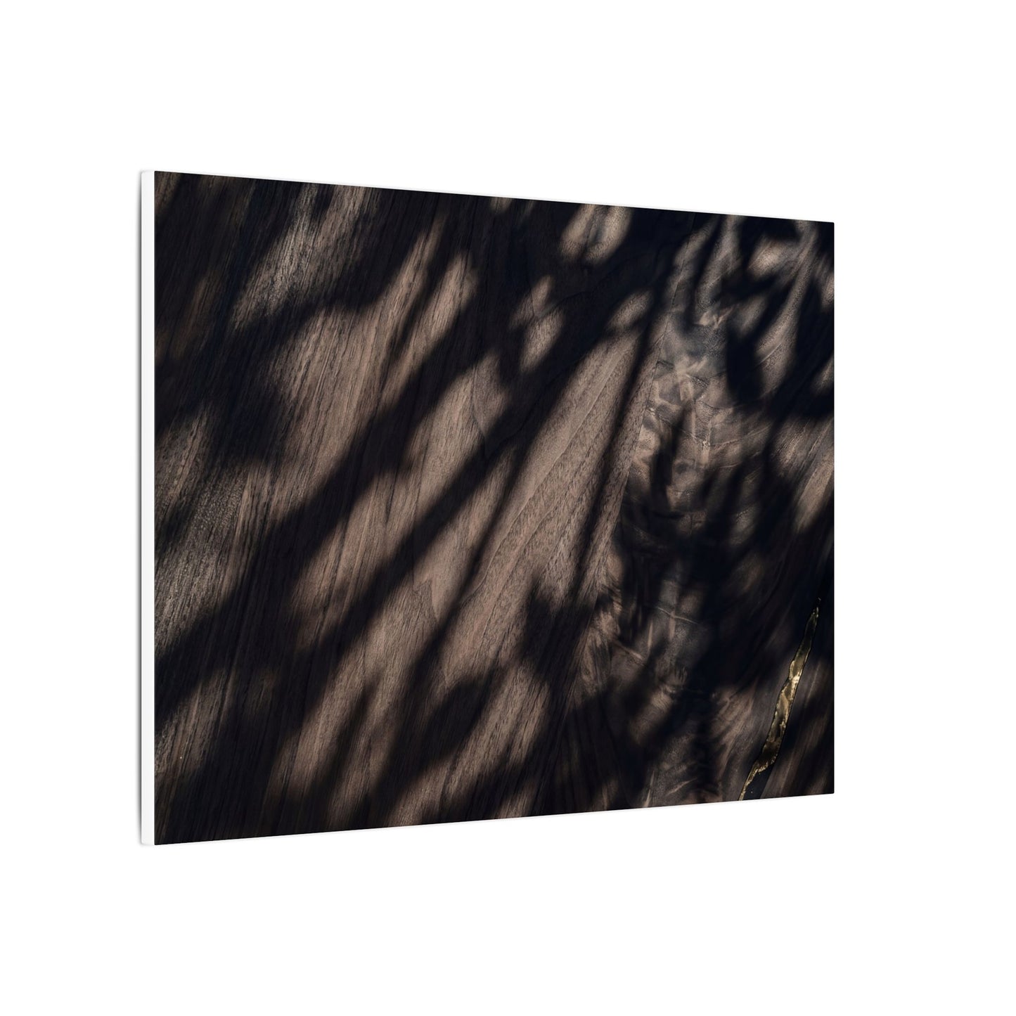 Shadow Play Summer Canvas Art | Dark Japandi Moody Design