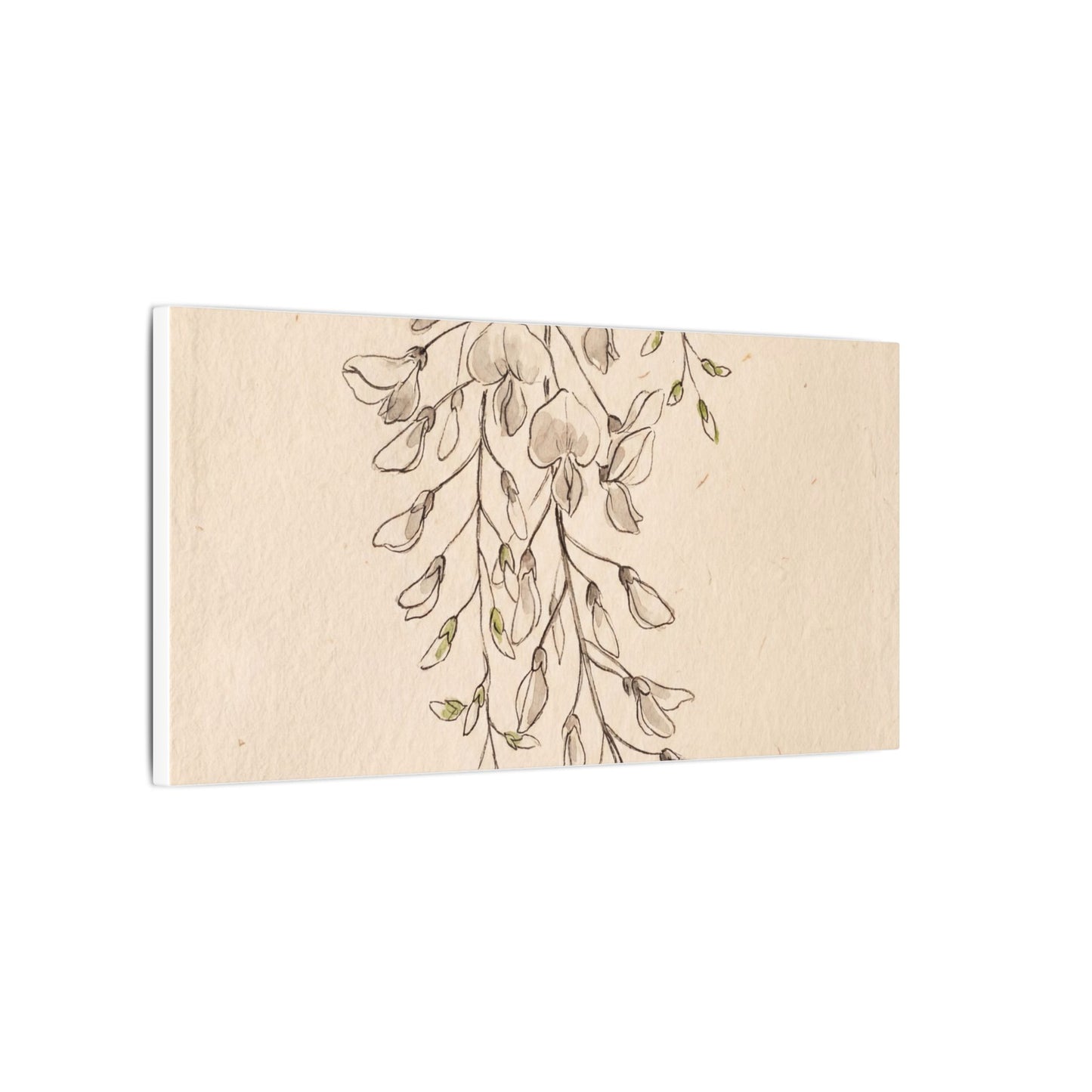 Japandi Wisteria in Golden Hour | Minimal Line Canvas Art