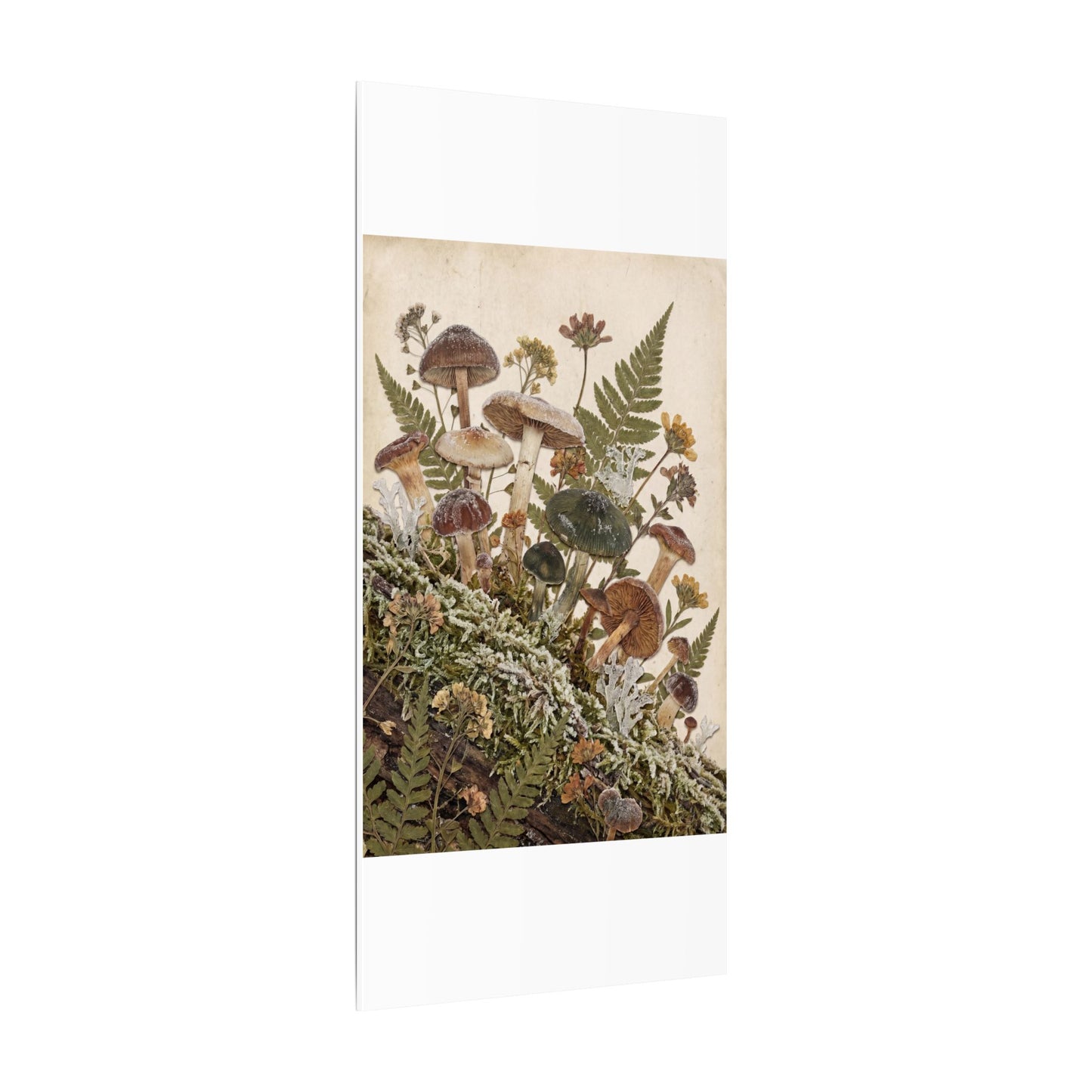 Winter Wild Mushrooms Herbarium Canvas Art | Enchanting Decor